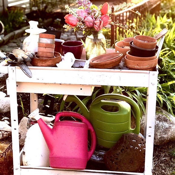 Meet your Posher, Layne - Picture 16 of 16